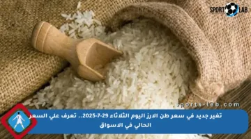 تغير جديد في سعر طن الأرز اليوم الثلاثاء 29-7-2025.. تعرف على السعر الحالي في الأسواق